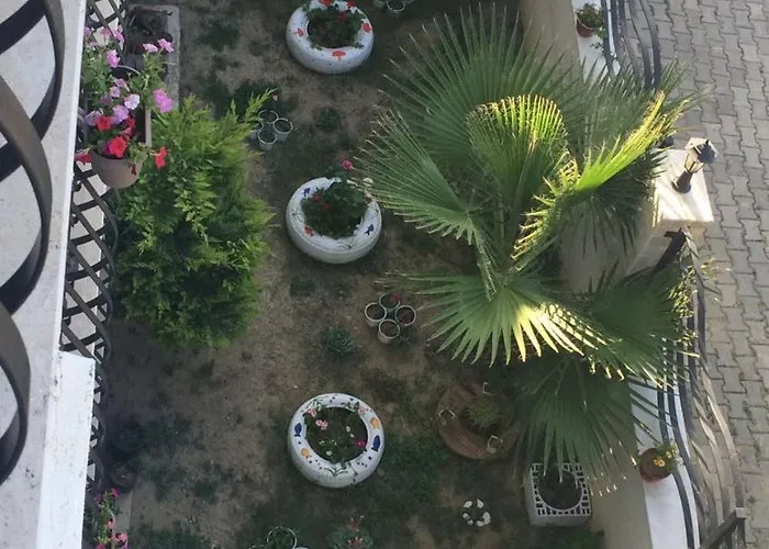 Kaptan 4* Сигаджик